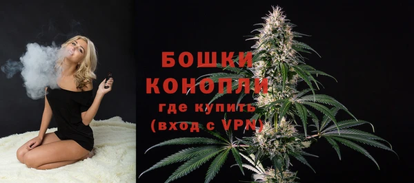 шишки Нефтегорск