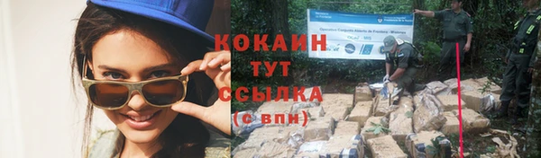 гашик Нея