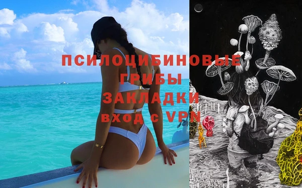 гашик Нея