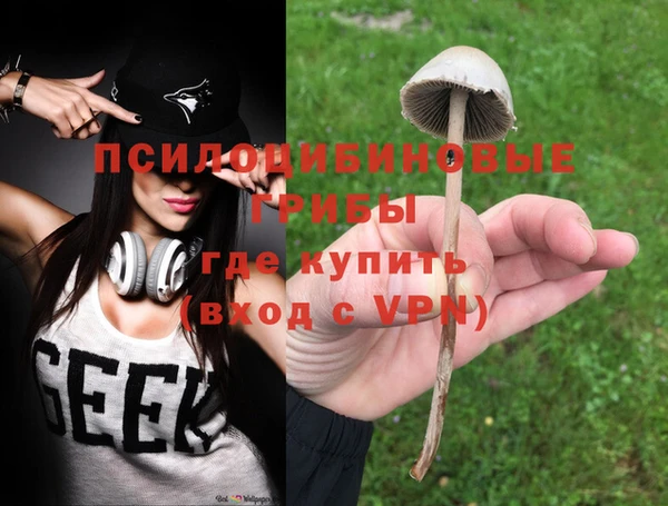 стаф Новокубанск