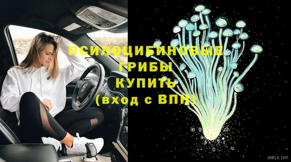 шишки Нефтегорск