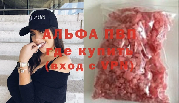 стаф Новокубанск