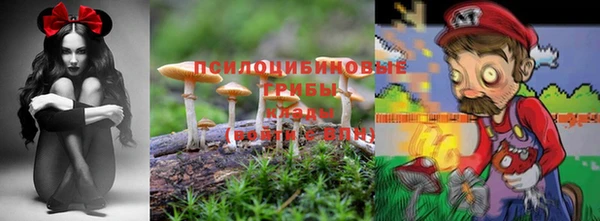 индика Вуктыл