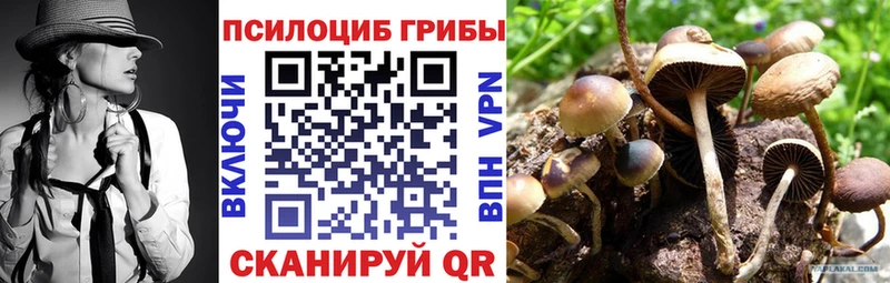 Галлюциногенные грибы Cubensis Каменка