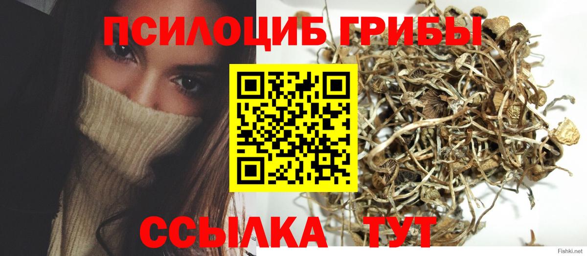 Галлюциногенные грибы Magic Shrooms Каменка