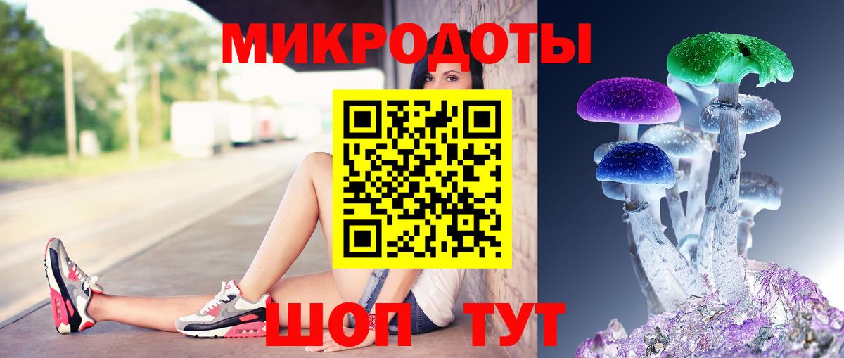 даркнет сайт  Каменка  Псилоцибиновые грибы Cubensis 