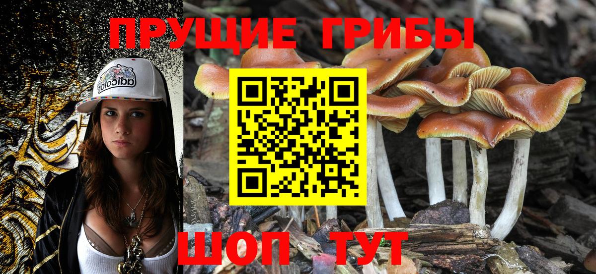 Каменка  Галлюциногенные грибы Psilocybine cubensis  Псилоцибиновые грибы GOLDEN TEACHER  Вход с VPN 