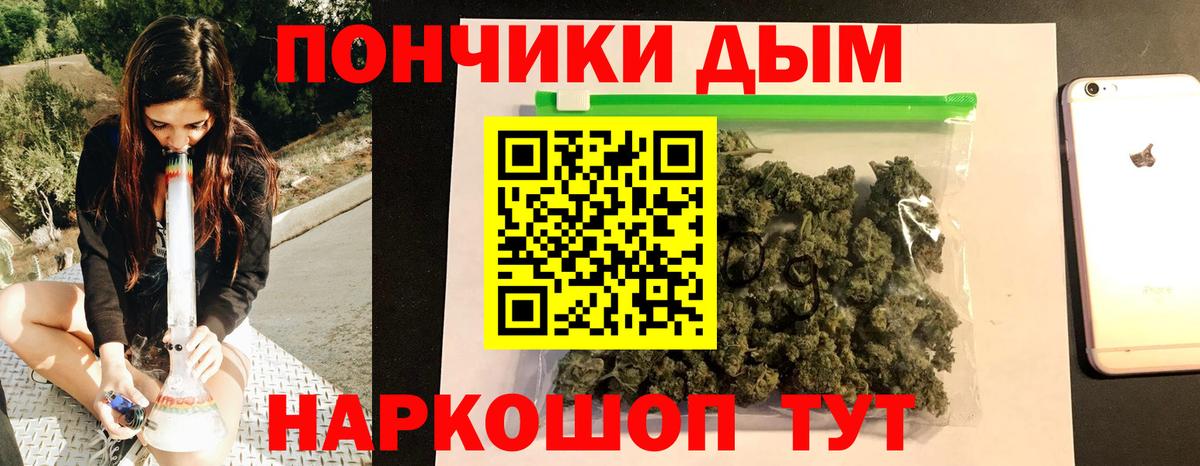 МАРИХУАНА сатива  Бошки марихуана марихуана  Каменка  Канабис индика  Каннабис Ganja 